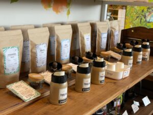 南国スタイルのおしゃれな店内とお店自慢のコーヒーが楽しめる糸島のコーヒーショップ「THALIA Coffee Roasters」