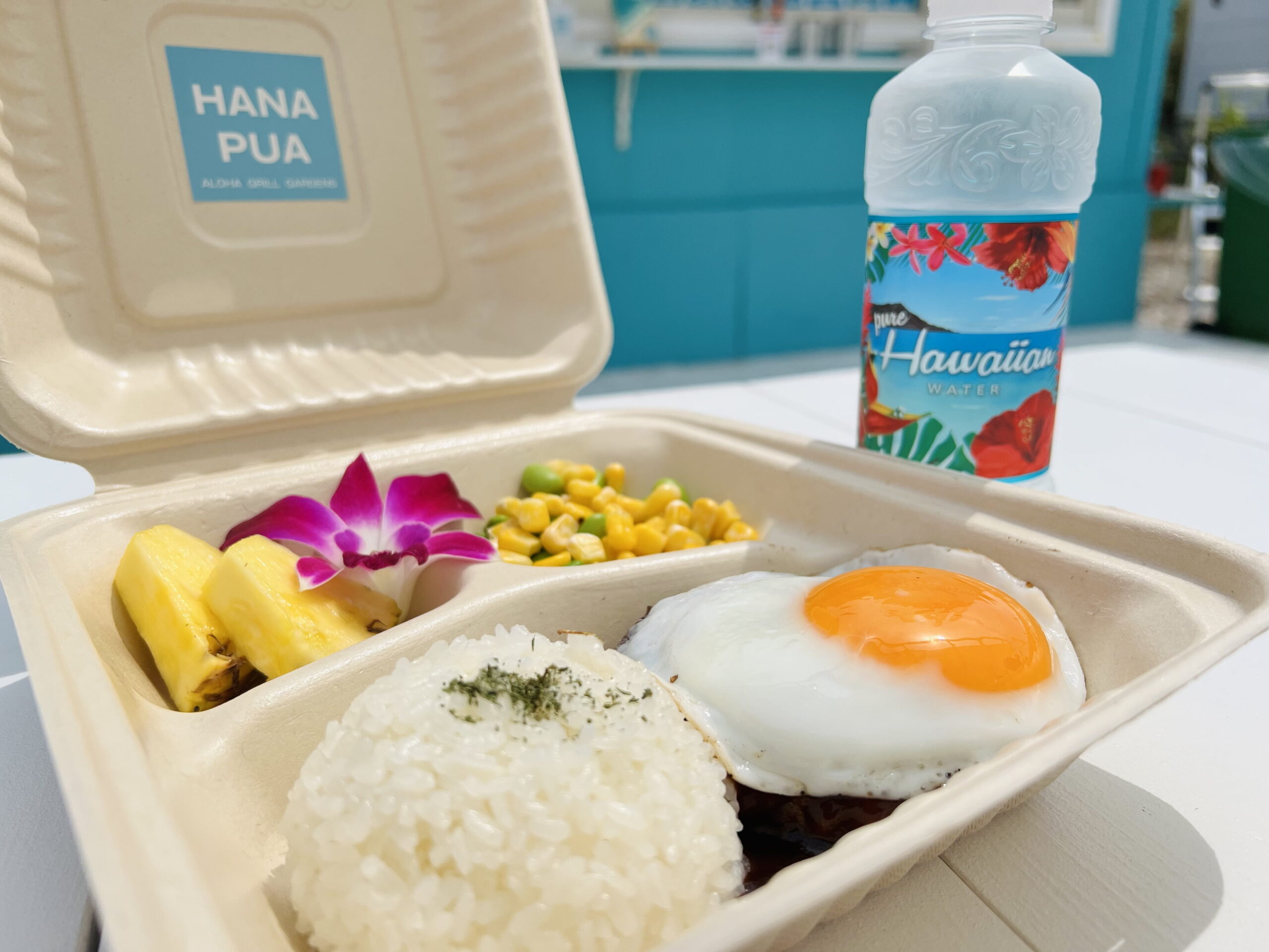 SNSでシェアしたくなる！糸島・志摩芥屋にあるハワイの味が楽しめるフードトラック「HANAPUA  ALOHA GRILL GARDENS」