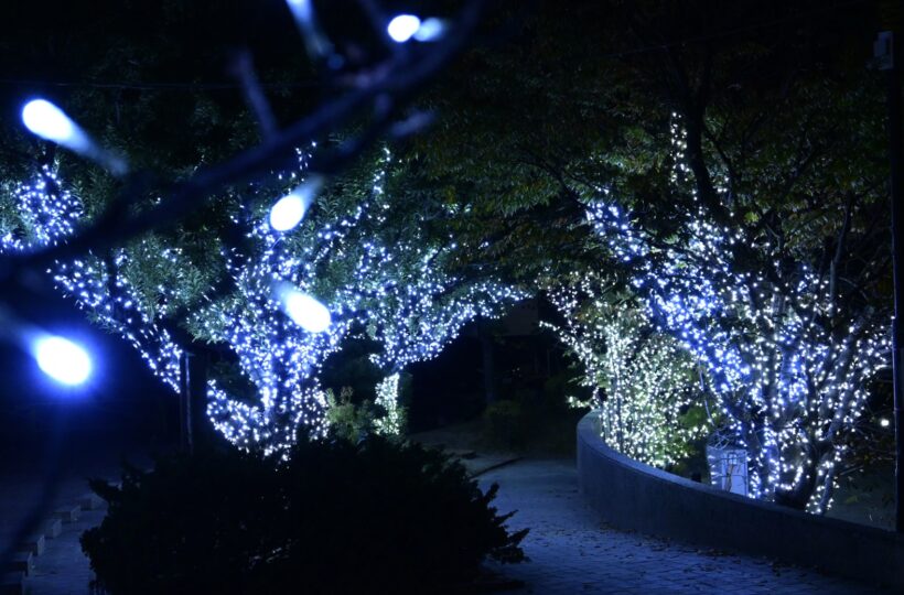 糸島でイルミネーションを見るならここ！丸田池公園で開催「いとしまイルミネーション2022」