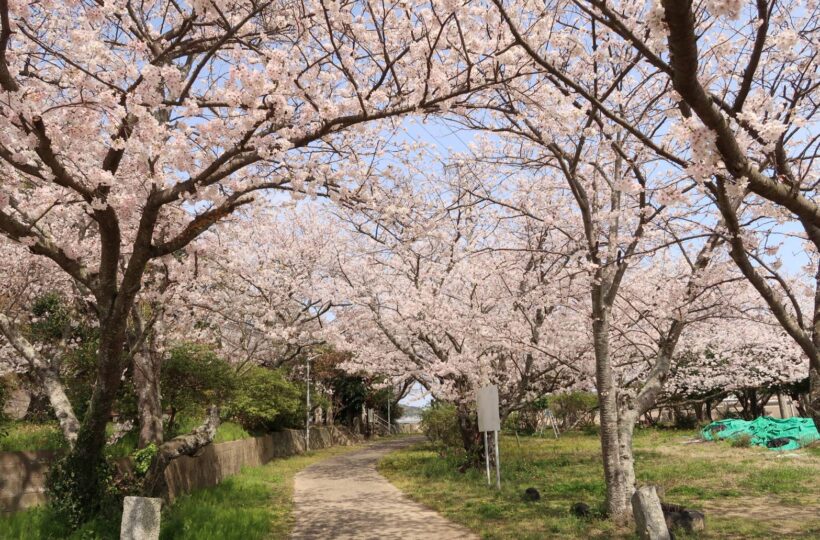万葉集の歌碑や桜、神社があり、山と海が見える志摩・船越の「万葉の里公園」で、悠久の時の流れに思いを馳せよう！