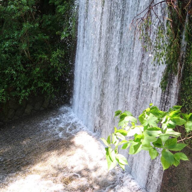 糸島・二丈にある「鳴滝」を訪れて、雄大な滝や幽玄な竹林を体感しよう！