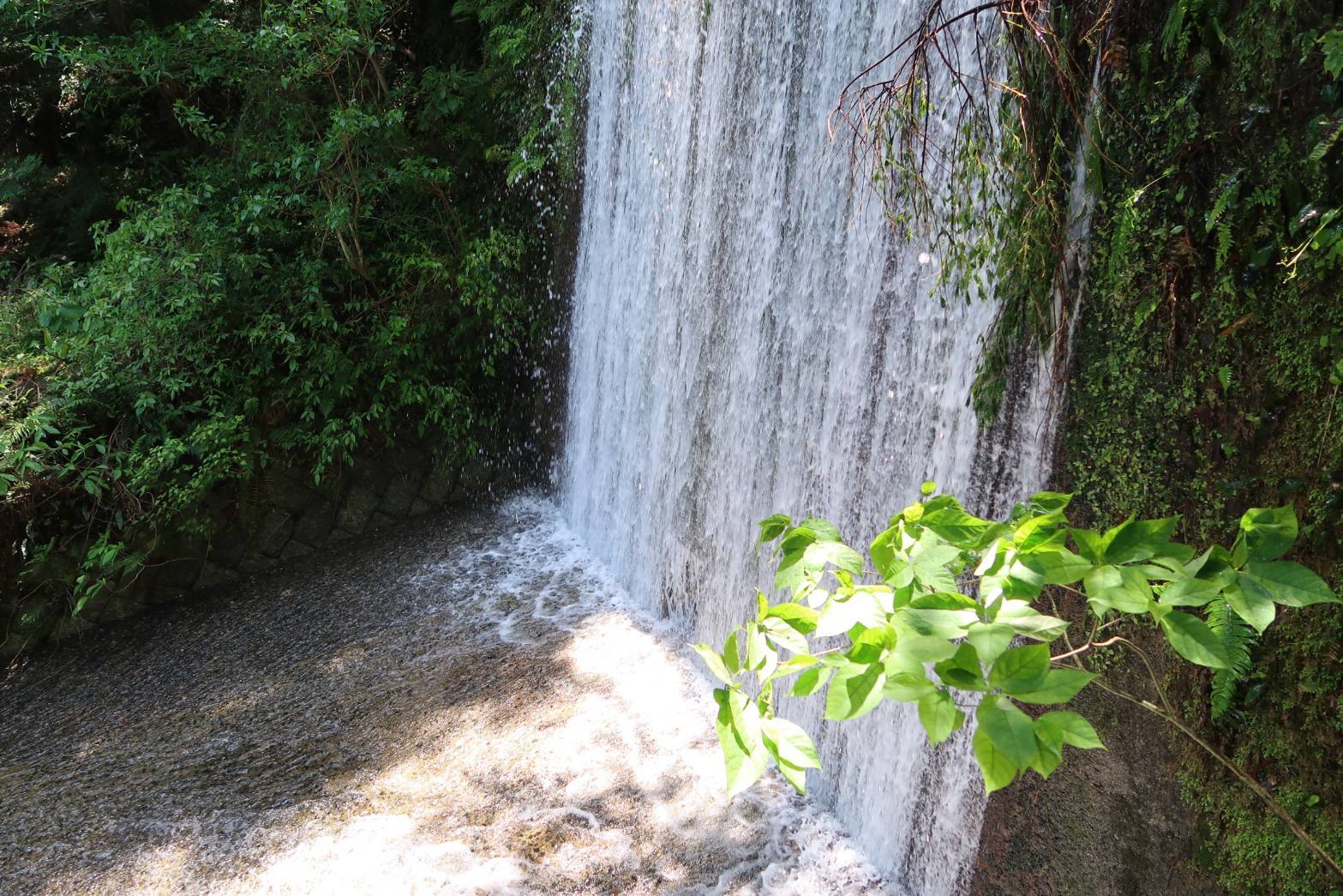 糸島・二丈にある「鳴滝」を訪れて、雄大な滝や幽玄な竹林を体感しよう！