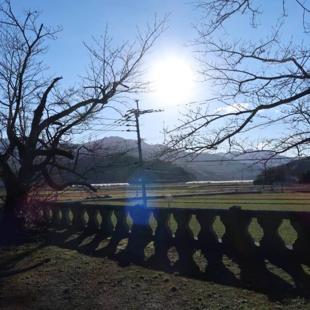 【糸島・本】4匹の狛犬と大きな太陽が魅力！「川上六所神社」