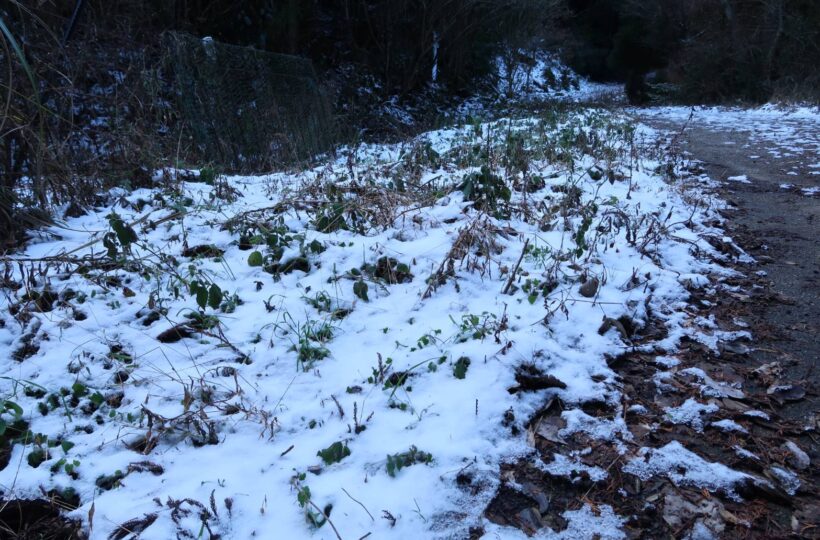 【糸島・雷山】冬には数々の雪景色を楽しめる！「雷山周回自然歩道」