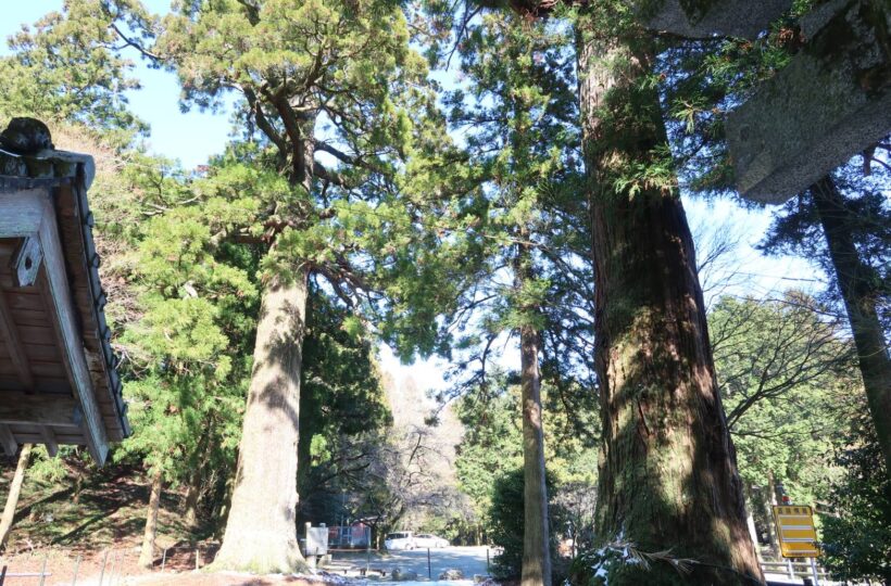 【糸島・雷山】樹齢1000年を越える大きなご神木が魅力的な「雷神社」