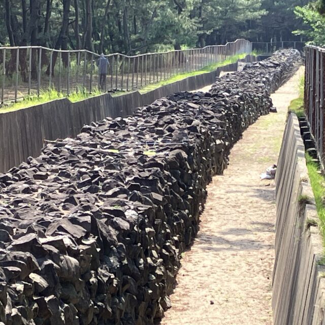 【西区・今津】松林を散策、砂浜でのんびり！糸島半島の歴史を知る「今津元寇防塁」