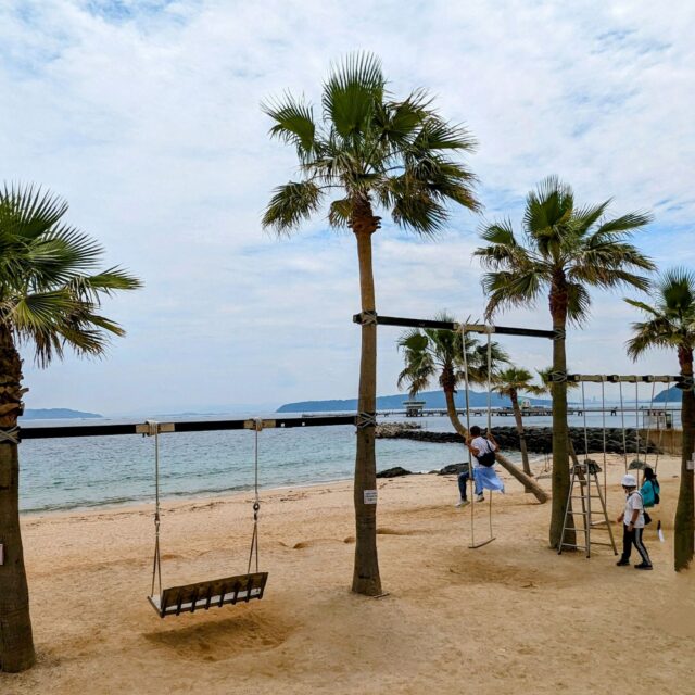 【西区・糸島】糸島で大人気のフォトスポット「ヤシの木ブランコ」